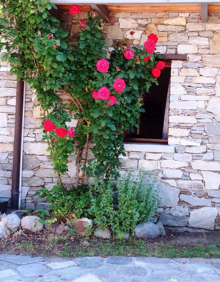 Casa Cicala Villa Trarego Exteriör bild